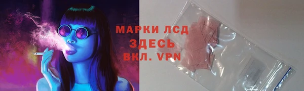 ECSTASY Абаза