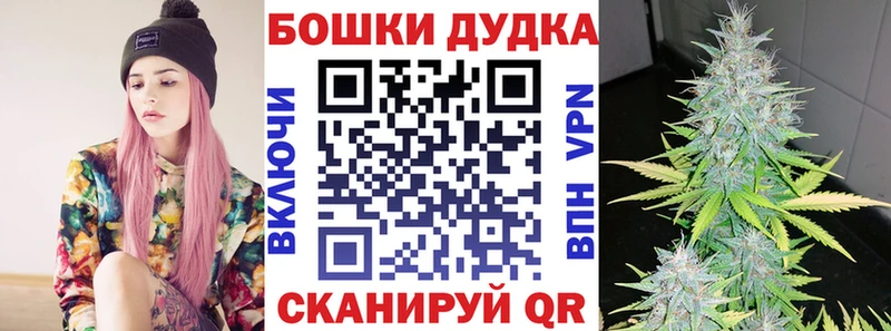 Бошки марихуана THC 21%  Костерёво 